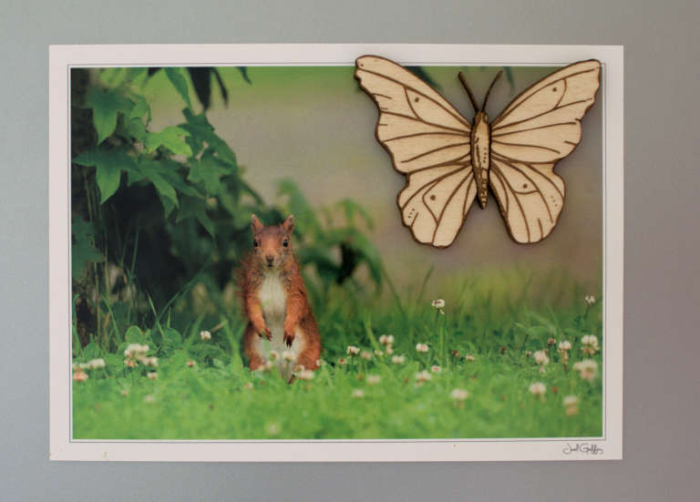 magnet papillon tenant une carte postale